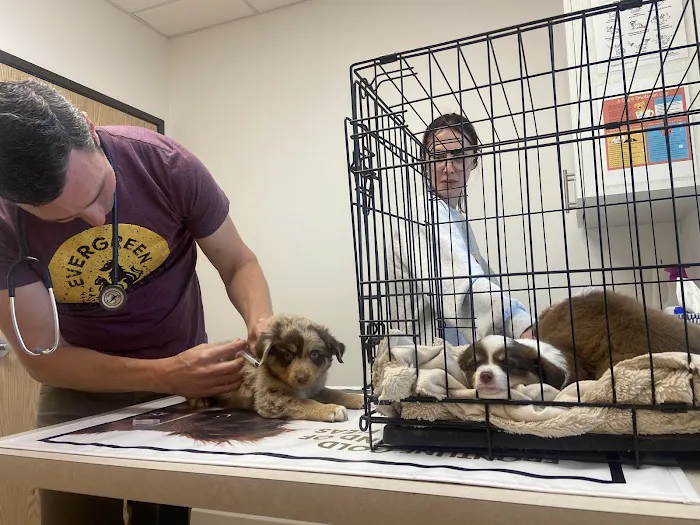 Evergreen Veterinary Clinic Picture 2