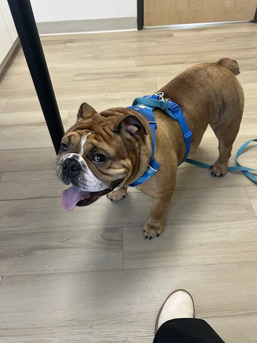 Evergreen Veterinary Clinic Picture 6