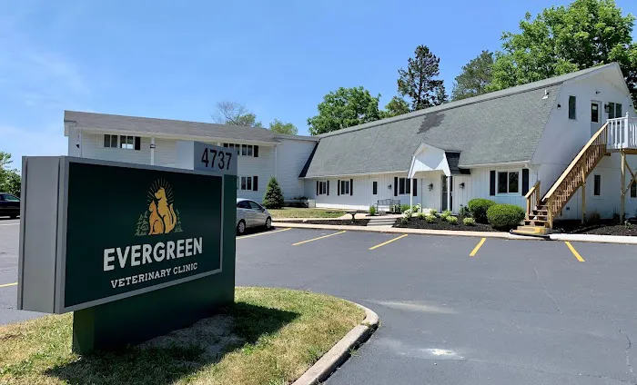 Evergreen Veterinary Clinic Picture 10