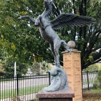Pegasus Critical Care Center ico