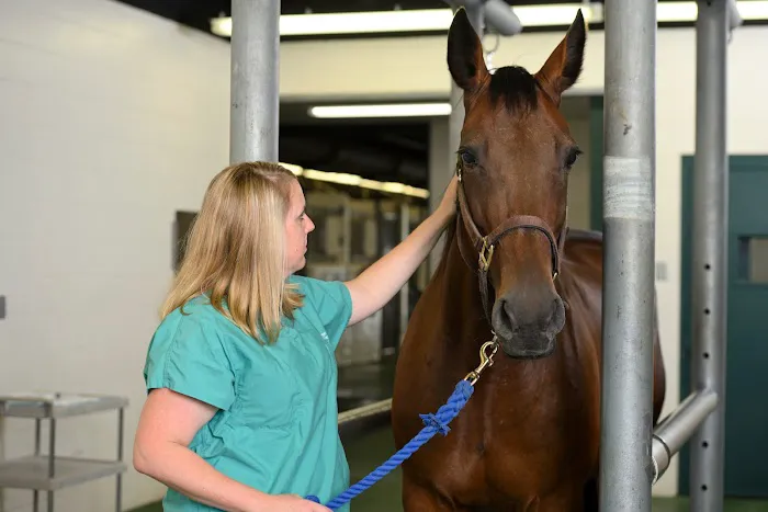 Michigan State University Veterinary Medical Center Picture 7