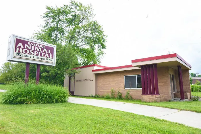 Eastside Animal Hospital Picture 4