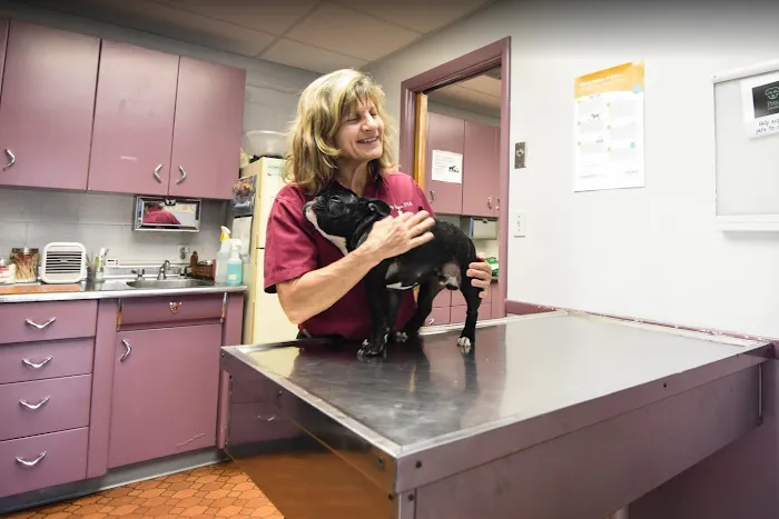 Eastside Animal Hospital Picture 6