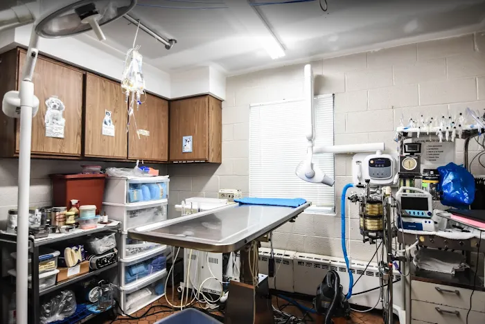 Eastside Animal Hospital Picture 8