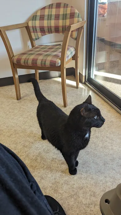 Ailurophile Cat Clinic Picture 2