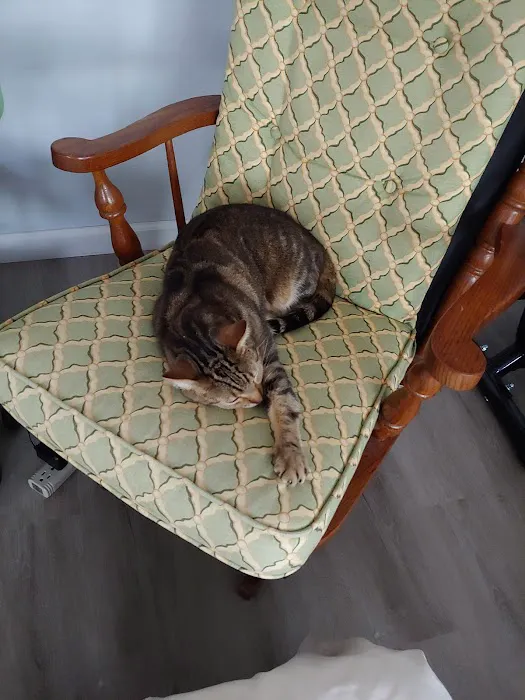 Ailurophile Cat Clinic Picture 4