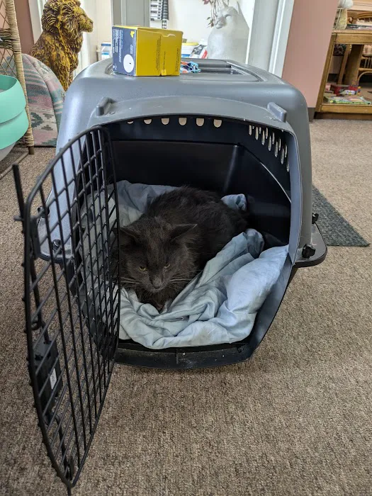Ailurophile Cat Clinic Picture 7