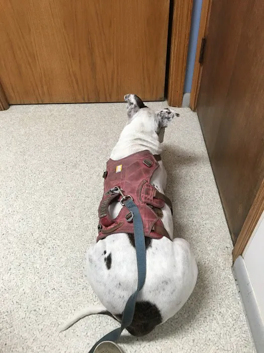 Zeeb Animal Hospital Picture 4