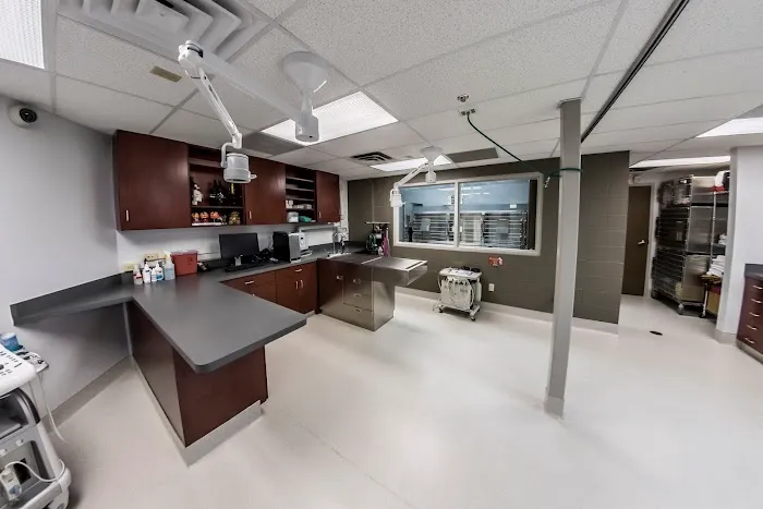 Lake Lansing Road Animal Clinic Picture 1