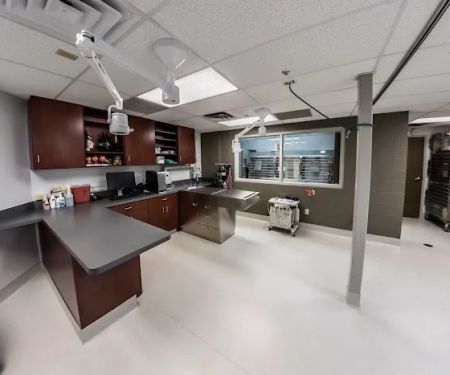 Lake Lansing Road Animal Clinic