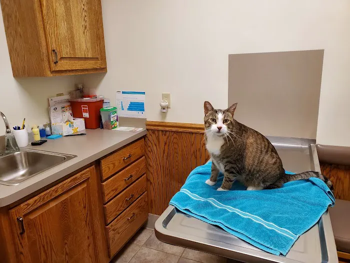 Portland Veterinary Service Picture 4