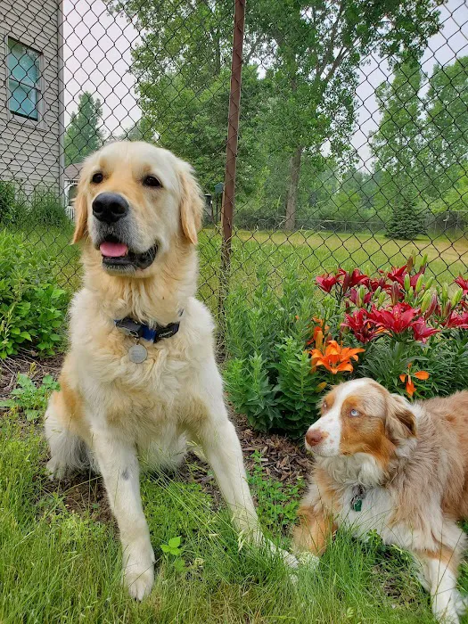 Portland Veterinary Service Picture 10