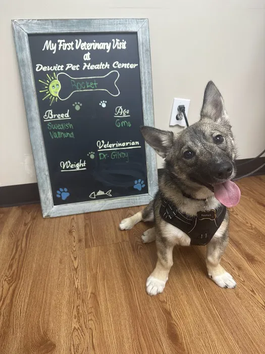 Pet Health Center Picture 2