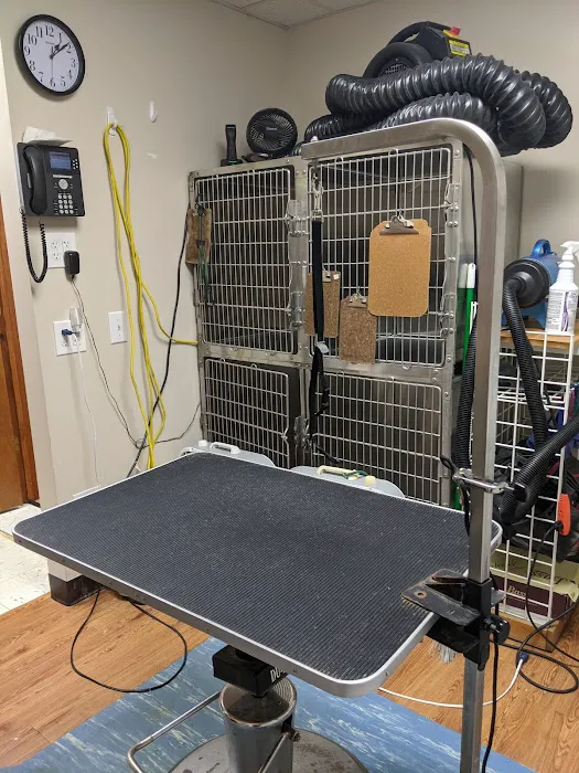 Pet Health Center Picture 6