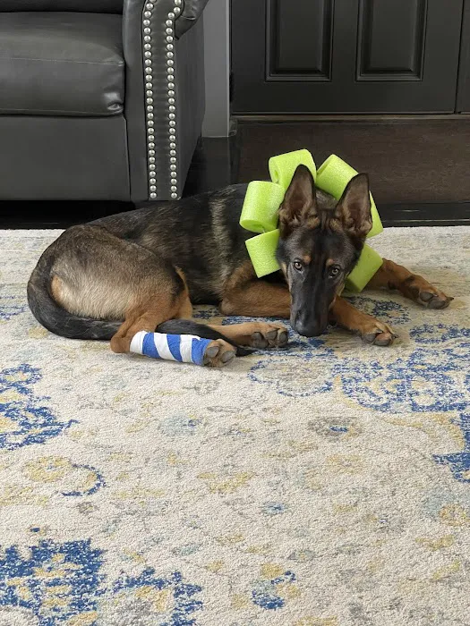 Fowler Veterinary Service LLC Picture 4
