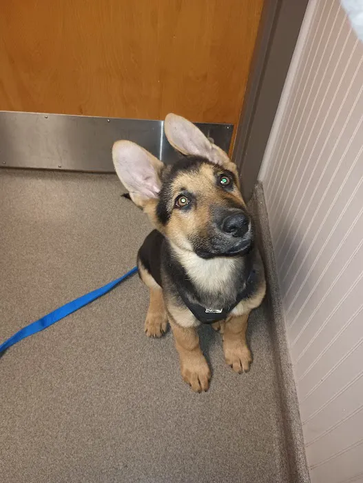 Western Veterinary Clinic Picture 4