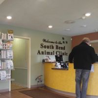 South Bend Animal Clinic ico