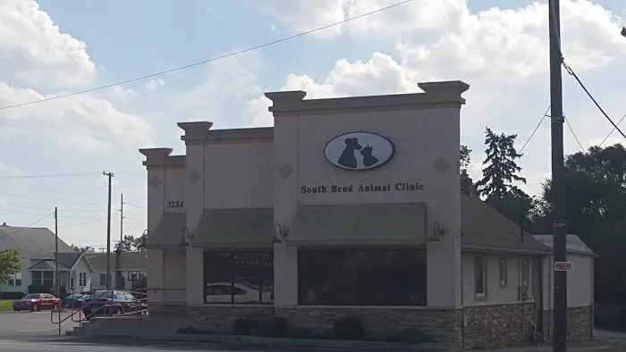 South Bend Animal Clinic Picture 2