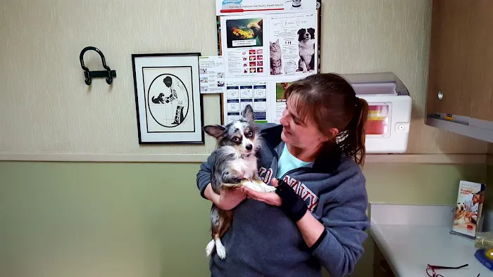 South Bend Animal Clinic Picture 8