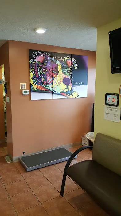 South Bend Animal Clinic Picture 9