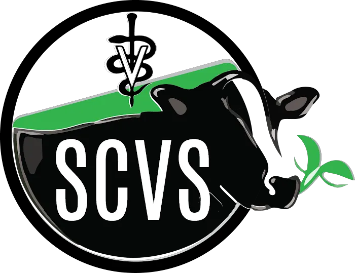 South County Veterinary Services Picture 2