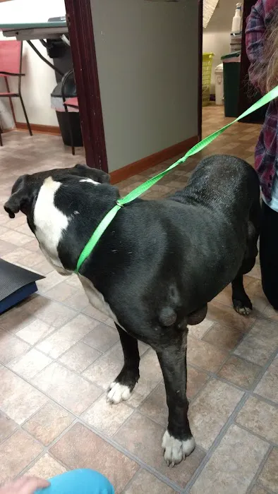 Currahee Veterinary Clinic Picture 8