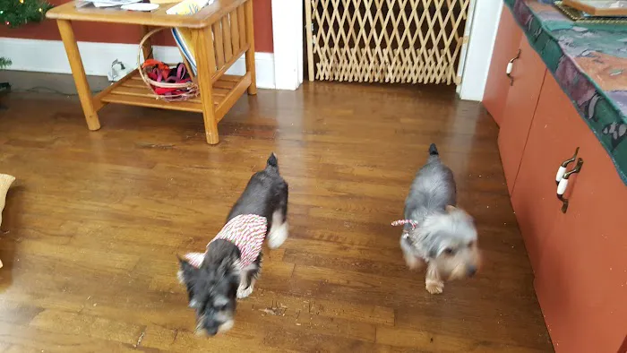 Colbert Animal Hospital Picture 1
