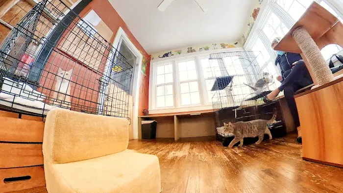 Colbert Animal Hospital Picture 5