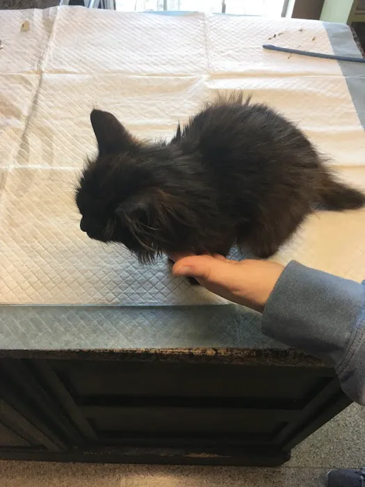 Colbert Animal Hospital Picture 8