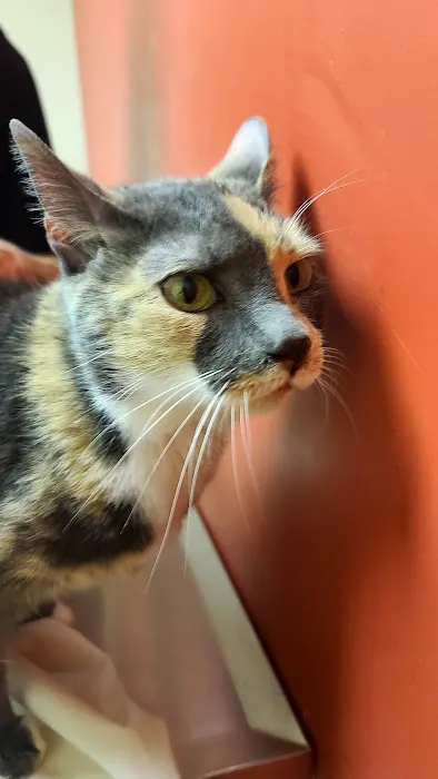 Sycamore Veterinary Services Picture 7