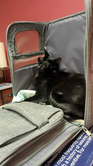 Sycamore Veterinary Services Picture 9