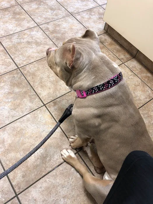Commerce Veterinary Hospital Picture 1