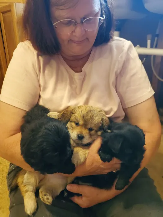 Bowen Animal Hospital Picture 5