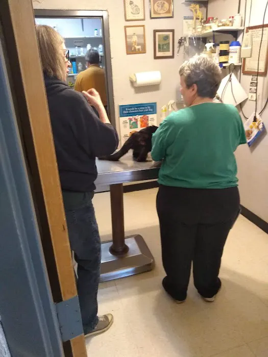 Bowen Animal Hospital Picture 2