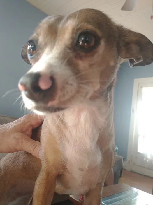 Bowen Animal Hospital Picture 7
