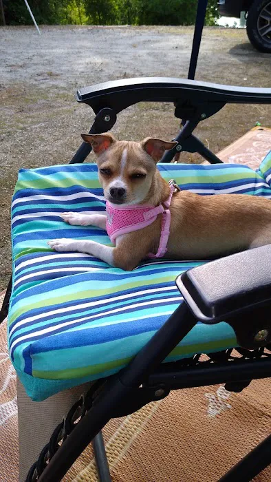 Honea Path Animal Hospital Picture 3