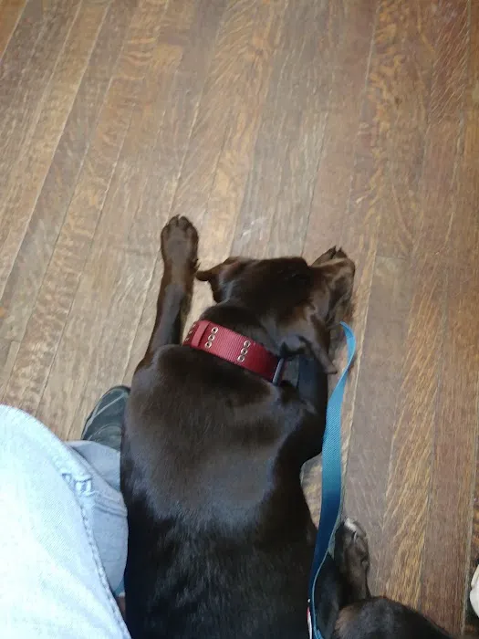 Honea Path Animal Hospital Picture 4