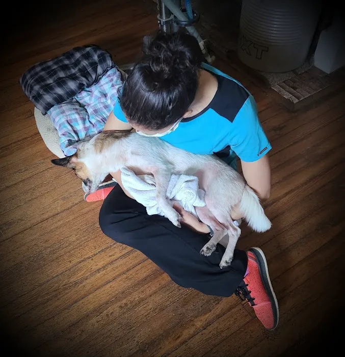 Honea Path Animal Hospital Picture 5