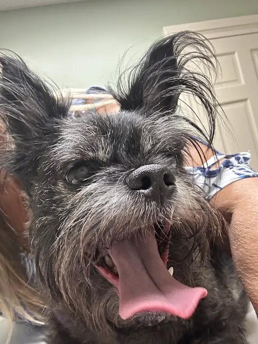 Chinquapin Animal Hospital Picture 3