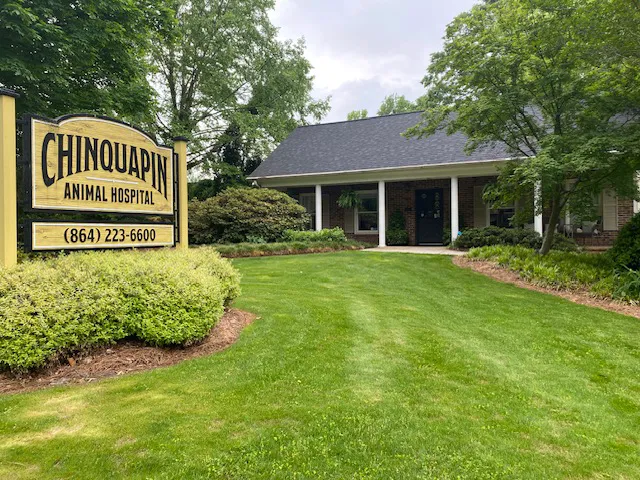 Chinquapin Animal Hospital Picture 10