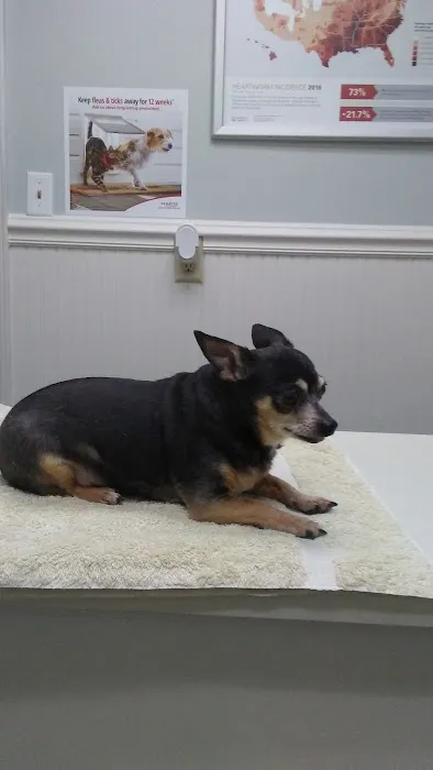 Chinquapin Animal Hospital Picture 9