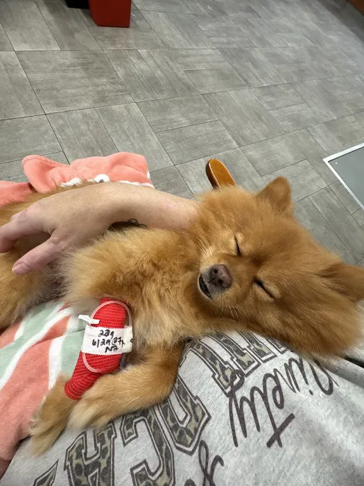 Kinard Animal Hospital Picture 1