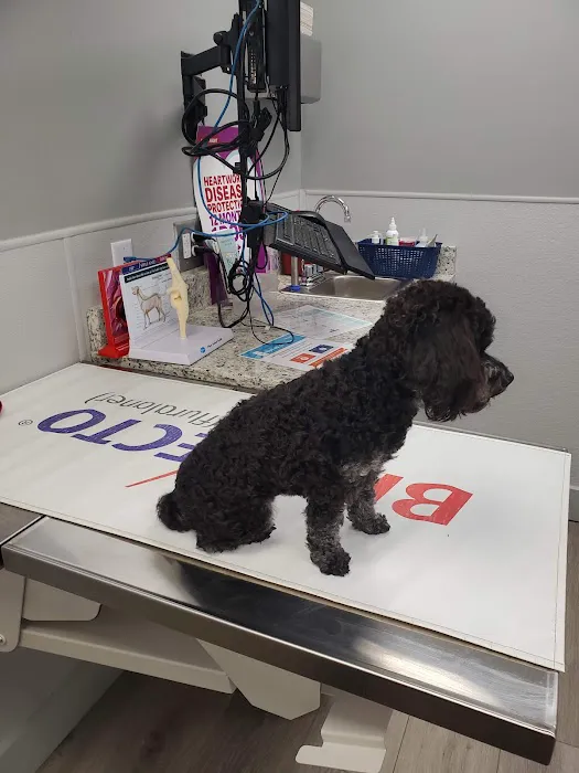 Kinard Animal Hospital Picture 6