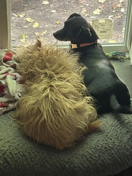 Greenwood Veterinary Hospital Picture 4