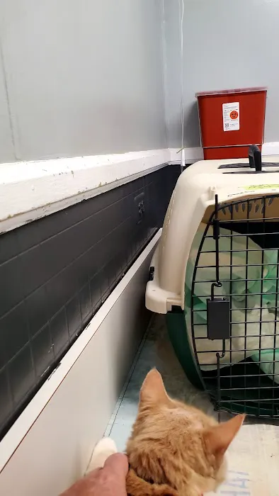 Greenwood Veterinary Hospital Picture 1
