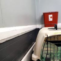 Greenwood Veterinary Hospital ico