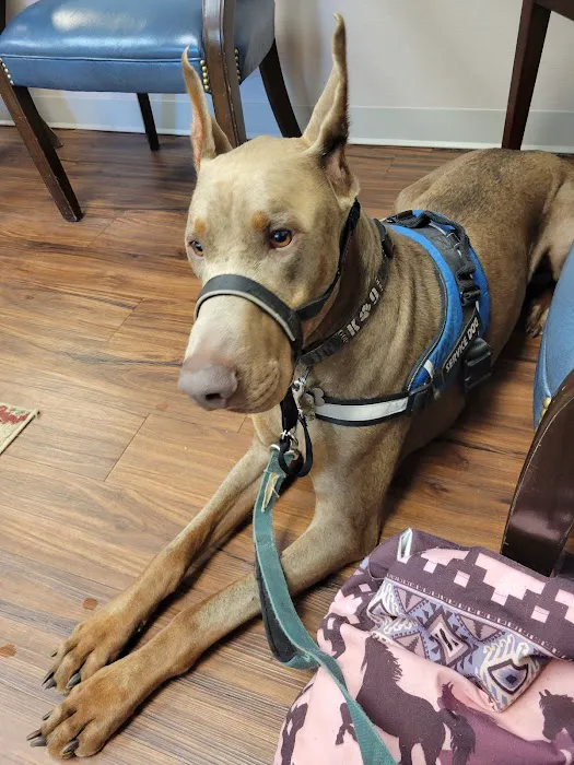 Greenwood Veterinary Hospital Picture 8