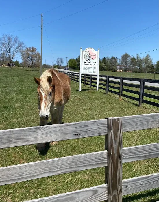 Shannon Veterinary Services Picture 4