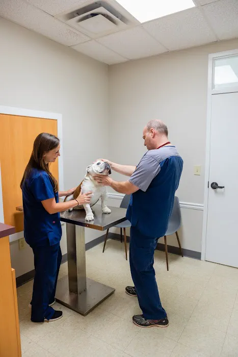 Animal Medical Center of Holly Springs Picture 7