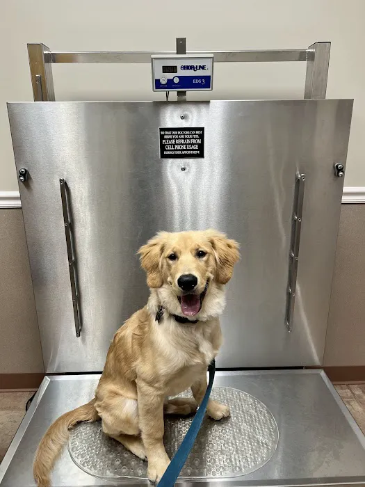 Allatoona Animal Hospital Picture 3
